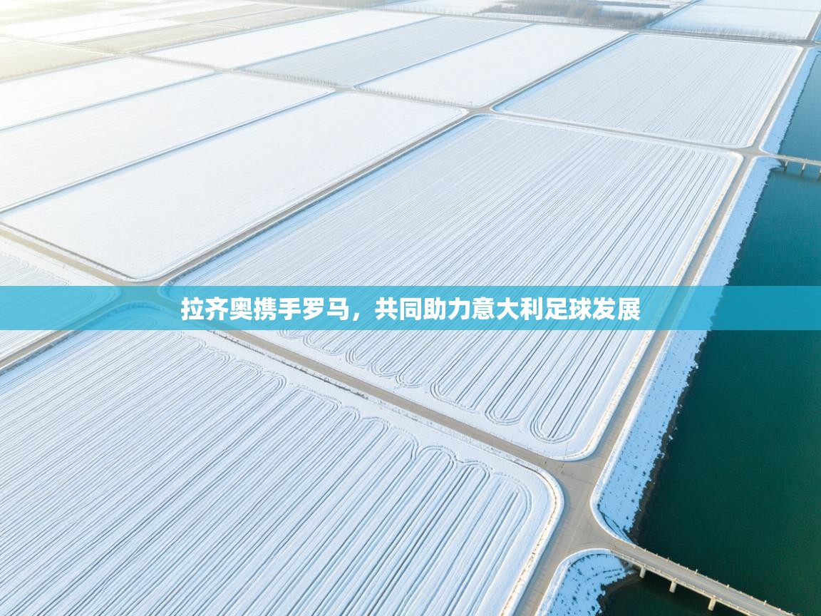 拉齐奥携手罗马,共同助力意大利足球发展 第2张