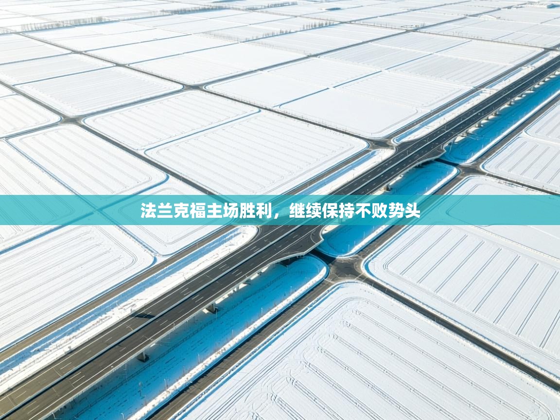 法兰克福主场胜利，继续保持不败势头