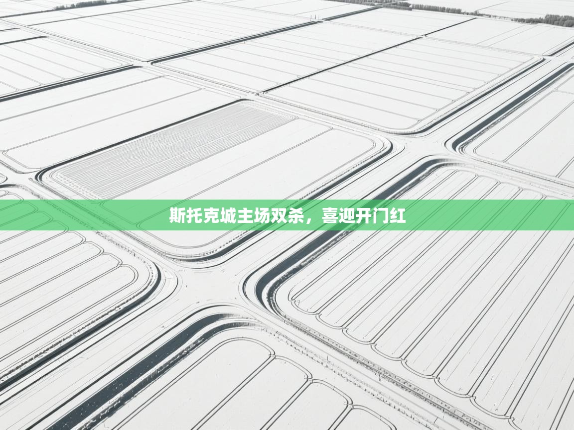 斯托克城主场双杀，喜迎开门红  第1张